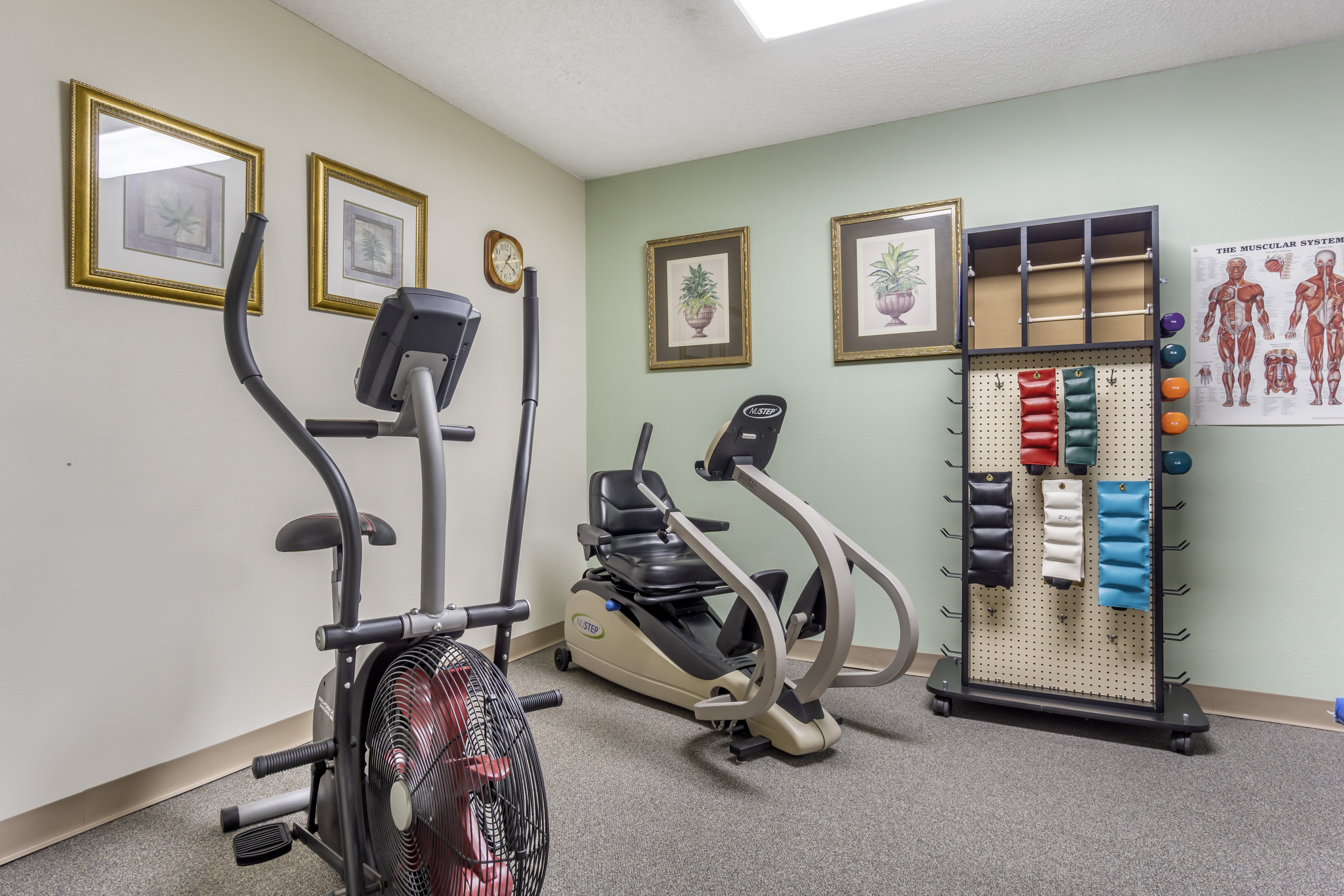 Allenmore Il Fitness Room